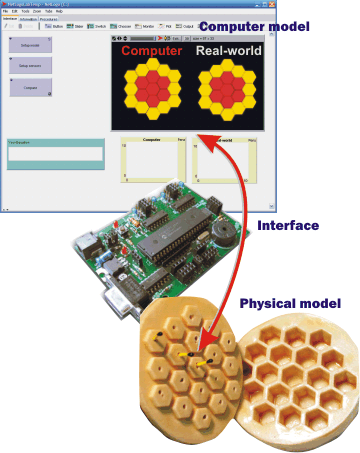lab/netlogolab.gif